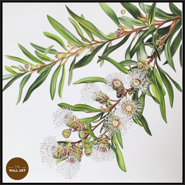 images/products/australian_melaleu_flowers/Australian_Melaleu Flowers_BLACK.jpg